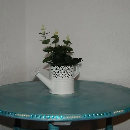 Apartment Vasallos Estudios Alicante